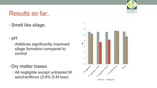Results so far..
• Smelt like silage.
• pH
• Additives significantly improved
silage formation compared to
control
• Dry matter losses
• All negligible except untreated M.
sacchariflorus (2-9% D.M loss)
0
1
2
3
4
5
6
7
pH
Start pH Silage pH
 