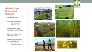 Alittle bit about
Rothamsted
Research
• Harpenden, Herts
• Long term experiments
• 1843 winter wheat
• 1859 grass/hay
• Hosts National Willow
Collection (~13,000 types)
• Long term (~20 years)
Miscanthus trials
• Home to first approved &
completed GM trial
• Wheat 2013
• Omega-3 Camelina
 