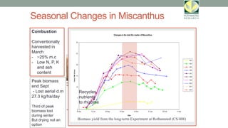 Recycles
nutrients
to rhizome
April/May
March September
October
Seasonal Changes in Miscanthus
Combustion
Conventionally
harvested in
March
- ~25% m.c
- Low N, P, K
and ash
content
Biomass yield from the long-term Experiment at Rothamsted (CS/408)
Peak biomass
end Sept
- Lost aerial d.m
27.3 kg/ha/day
Third of peak
biomass lost
during winter
But drying not an
option
Recycles
nutrients
to rhizome
 