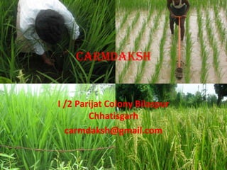 Carmdaksh


I /2 Parijat Colony Bilaspur
        Chhatisgarh
  carmdaksh@gmail.com
 