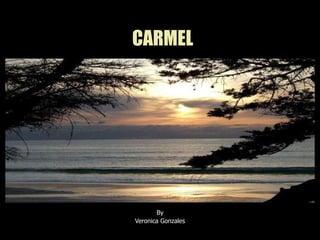 CARMEL By Veronica Gonzales 