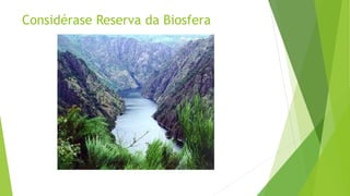 Considérase Reserva da Biosfera
 