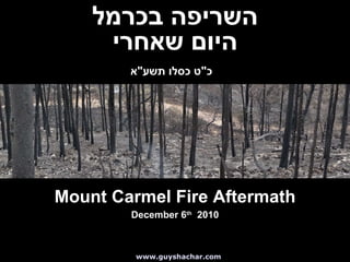 www.guyshachar.com השריפה בכרמל היום שאחרי כ &quot; ט כסלו תשע &quot; א   Mount Carmel Fire Aftermath December 6 th   2010 