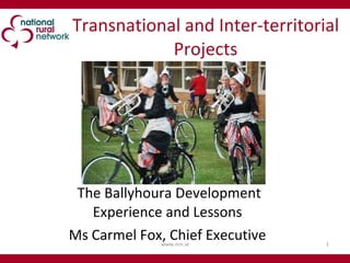 Transnational and Inter-territorial Projects The Ballyhoura Development Experience and Lessons  Ms Carmel Fox, Chief Executive  www.nrn.ie 