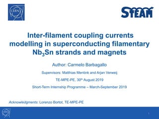 Inter-filament coupling currents
modelling in superconducting filamentary
Nb3Sn strands and magnets
Author: Carmelo Barbagallo
Supervisors: Matthias Mentink and Arjan Verweij
TE-MPE-PE, 30th August 2019
Short-Term Internship Programme – March-September 2019
1
Acknowledgments: Lorenzo Bortot, TE-MPE-PE
 
