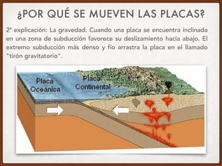 ¿POR QUÉ SE MUEVEN LAS PLACAS?
2ª explicación: La gravedad. Cuando una placa se encuentra inclinada
en una zona de subducción favorece su deslizamiento hacia abajo. El
extremo subducción más denso y fío arrastra la placa en el llamado
"tirón gravitatorio".
 