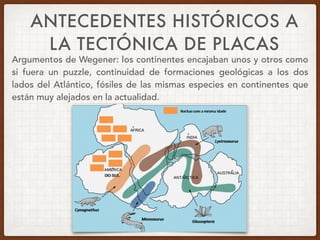 ANTECEDENTES HISTÓRICOS A
LA TECTÓNICA DE PLACAS
Argumentos de Wegener: los continentes encajaban unos y otros como
si fuera un puzzle, continuidad de formaciones geológicas a los dos
lados del Atlántico, fósiles de las mismas especies en continentes que
están muy alejados en la actualidad.
 