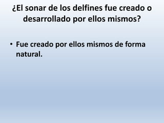 ¿El sonar de los delfines fue creado o
desarrollado por ellos mismos?
• Fue creado por ellos mismos de forma
natural.
 
