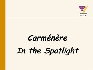 Carménère In the Spotlight 