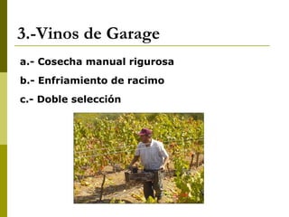3.-Vinos de Garage a.- Cosecha manual rigurosa b.- Enfriamiento de racimo c.- Doble selección 