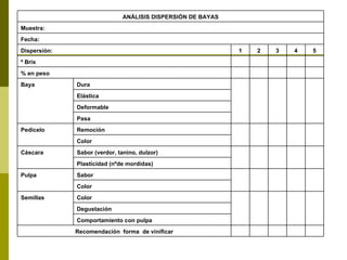           Recomendación  forma  de vinificar           Comportamiento con pulpa             Degustación             Color Semillas           Color             Sabor Pulpa           Plasticidad (nºde mordidas)             Sabor (verdor, tanino, dulzor) Cáscara           Color             Remoción Pedicelo           Pasa             Deformable             Elástica             Dura Baya           % en peso           º Brix 5 4 3 2 1 Dispersión: Fecha: Muestra: ANÁLISIS DISPERSIÓN DE BAYAS 