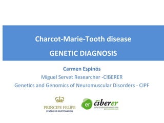 Charcot-Marie-Tooth disease
GENETIC DIAGNOSIS
Carmen Espinós
Miguel Servet Researcher -CIBERER
Genetics and Genomics of Neuromuscular Disorders - CIPF
 