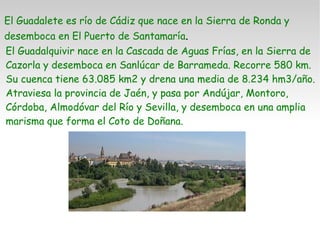 El Guadalete es río de Cádiz que nace en la Sierra de Ronda y desemboca en El Puerto de Santamaría .  El Guadalquivir nace en la Cascada de Aguas Frías, en la Sierra de Cazorla y desemboca en Sanlúcar de Barrameda. Recorre 580 km. Su cuenca tiene 63.085 km2 y drena una media de 8.234 hm3/año. Atraviesa la provincia de Jaén, y pasa por Andújar, Montoro, Córdoba, Almodóvar del Río y Sevilla, y desemboca en una amplia marisma que forma el Coto de Doñana. 