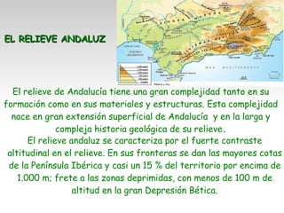 EL RELIEVE ANDALUZ El relieve de Andalucía tiene una gran complejidad tanto en su formación como en sus materiales y estructuras. Esta complejidad nace en gran extensión superficial de Andalucía  y en la larga y compleja historia geológica de su relieve . El relieve andaluz se caracteriza por el fuerte contraste altitudinal en el relieve. En sus fronteras se dan las mayores cotas de la Península Ibérica y casi un 15 % del territorio por encima de 1.000 m; frete a las zonas deprimidas, con menos de 100 m de altitud en la gran Depresión Bética. 