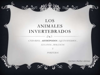 LOS
ANIMALES
INVERTEBRADOS
CNIDARIOS, ARTRÓPODOS , EQUINODERMOS ,
GUSANOS , MOLUSCOS
Y
PORIFEROS
Carmen Muñoz Gómez
 