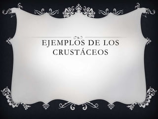 EJEMPLOS DE LOS
CRUSTÁCEOS
 