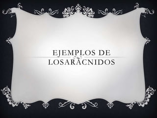 EJEMPLOS DE
LOSARÁCNIDOS
 