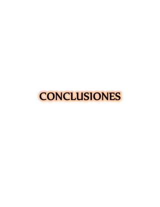 CONCLUSIONES
 