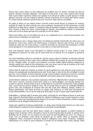 Pentru mine aceste tabere au fost totdeauna un nesfârşit izvor de interes. Oricând am zărit de
departe siluetele corturilor ţigăneşti, n'am lipsit să merg acolo, şi am cules impresii fără număr
între aceşti străini vagabonzi. Adesea am aşteptat să se descarce carăle; cu mult zgomot şi multă
gâlceavă, parii de cort sunt înfipţi în pământ, zdrenţe descolorate de tot felul sânt întinse asupra
lor, fiecare familie ridicând coperişul supt care va ocroti o clipă veşnica-i neodihnă.
De atâtea şi atâtea ori am rătăcit printre corturile acestor horde fiecare şi certăreţe de cerşitori,
asediată de sutele de mâni oacheşe care cereau gologani, încunjurată de feţe întunecate cu ochii
strălucitori şi dinţi albi ca zăpada. Pe jumătate umili, pe jumătate aroganţi, ei calicesc bani, răzând
între acestea şi dând din umeri, scormonindu-mi hainele, strecurându-şi mânile în buzunarele
mele; une ori mi se păreá aproape că m'a năvălit un roiu de albine.
Când eram călare, mai că mă dădeau jos de pe cal, copleşindu-mă cu stranii binecuvântări, care
adesea sunau ca blăstăme sau imprecaţii.
Dar o dorinţă pe care o strigau după mine erá totdeauna primită recunoscător de inima mea: erá
dorinţa de «noroc bun» pentru cal. Fiind nomazi, ei preţuesc valoarea unui cal bun, şi de oarece
totdeauna calul meu mi-a fost prieten, o astfel de invocaţie nu mă puteá lăsá nemişcată; în zilele
acelea gologanii ce i-am sămănat printre ei erau daţi cu o mână mai bucuroasă.
Cele mai frumoase tipuri le-am descoperit în mijlocul acestui popor; la orice vrâstă ei sunt
neînchipuit de pitoresci, ba chiar aşa de mult încât une ori păreau că s'au pregătit cu gândul la
efect.
Am văzut bahadârce culcate în corturile lor, plecate asupra oalelor în fierbere, mestecând mâncări
misterioase cu bucăţi de beţe rupte. Nicio vrăjitoare bătrână din poveştile de zine ale lui Andersen
ori din «Nopţile arabe» nu poate sta la întrecere cu aceste ciudate făpturi bătrâne înfăşurate în
zdrenţe veştede care odată au fost strălucitoare, dar care acum erau tot aşa de murdare şi de vechi
ca şi fiinţele bătrâne pe care numai pe jumătate le acoperiau.
Falnice făşii de stofă erau răsucite ca turbane în jurul capetelor lor şi de subt ele şuviţe de păr sur
atârnau în nepieptănată neorânduială peste ochi. În de obşte o lulea de lut alb era înfiptă în colţul
gurii lor, căci şi bărbaţi şi femei fumează; de fapt, fumul străbate atmosfera în jurul lor, mirosul
tabacului amestecându-se cu acela mai străbătător al focurilor aprinse cât e tabăra de mare.
Aceste bătrâne vrăjitoare sunt membrii respectaţi ai triburilor. Blăstămurile ce strigă fac rânduială
între tineri, aruncă o oarecare teamă între copiii ce se ceartă gălăgios, cari aleargă aproape goi,
cerşind cu zgomot, făcând tumbe în praf, rostogolindu-se în picioarele trecătorului. Aceşti pungaşi
sânt o grea încercare pentru răbdarea cuiva, dar în acelaşi timp un izvor de nesfârşită desfătare
pentru ochi, căci neobişnuit de frumoşi sânt unii din aceşti mici sălbateci; jimbaţi, urlători, în
floarea pământului; mici statui de bronz cu capete creţe, buhoase, cu ochii mari încunjuraţi de
şuviţe indescriptibile, une ori aşa de lungi şi de cârlionţate, de par a fi pene negre la pleoapele lor.
Întâmplător, o cămaşă ruptă îi acopere prea puţin, ori braţele lor sunt băgate în haine cu mult prea
largi, mânecile fluturând infirm pe mânile lor, dându-li înfăţişarea unor momâi chemate la viaţă.
Niciodată nu sânt mai încântători decât când sar în sus cum i-a făcut Dumnezeu, având ca singură
podoabă un şir de mărgele strălucitoare la gât.
Aceşti mici vagabonzi în floarea pământului vor alerga poşte întregi după trăsură sau calul cuiva,
calicind bănuţi cu palmele întinse, tânguindu-şi necontenit aceiaşi plângere.
Foarte frumoase sunt mai ales fetele tinere: drepte, de o statură deplină, cu şolduri strâmte şi
gingaşe mâni şi picioare. Orice zdreanţă-şi sucesc în jurul trupului plin de graţie se preface într'o
podoabă care le prinde. Se vor acoperi cu orice lucru de preţ discalificat pe care-l vor culege pe
drum. Une ori preţioase vechi bucăţi de broderie îşi vor isprăvi zilele pe trupurile acestor
atrăgătoare fiinţi, crescându-li farmecul, dându-li înfăţişarea unor regine cerşitoare. Cingători
strălucitoare ce se învârt în jurul şoldurilor şi boiului lor ţin laolaltă toate aceste zdrenţe, dând

23

 