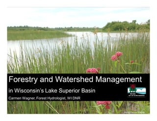 Forestry and Watershed Management
in Wisconsin’s Lake Superior Basin
Carmen Wagner, Forest Hydrologist, WI DNR


                                            Photo: Carmen Wagner
 
