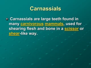 Root Word --> CARN | PDF