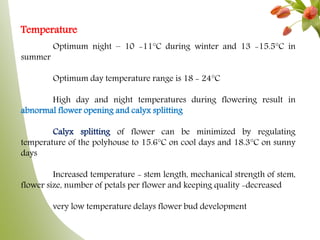Temperature
Optimum night – 10 -11°C during winter and 13 -15.5°C in
summer
Optimum day temperature range is 18 - 24°C
High day and night temperatures during flowering result in
abnormal flower opening and calyx splitting
Calyx splitting of flower can be minimized by regulating
temperature of the polyhouse to 15.6°C on cool days and 18.3°C on sunny
days
Increased temperature - stem length, mechanical strength of stem,
flower size, number of petals per flower and keeping quality -decreased
very low temperature delays flower bud development
 