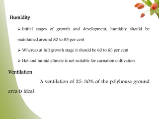 Humidity
 Initial stages of growth and development, humidity should be
maintained around 80 to 85 per cent
 Whereas at full growth stage it should be 60 to 65 per cent
 Hot and humid climate is not suitable for carnation cultivation
Ventilation
A ventilation of 25-30% of the polyhouse ground
area is ideal
 