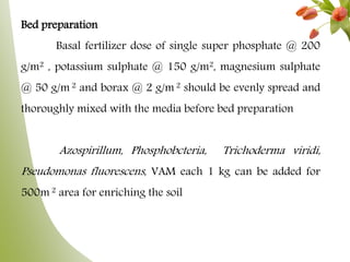 Bed preparation
Basal fertilizer dose of single super phosphate @ 200
g/m2 , potassium sulphate @ 150 g/m2, magnesium sulphate
@ 50 g/m 2 and borax @ 2 g/m 2 should be evenly spread and
thoroughly mixed with the media before bed preparation
Azospirillum, Phosphobcteria, Trichoderma viridi,
Pseudomonas fluorescens, VAM each 1 kg can be added for
500m 2 area for enriching the soil
 
