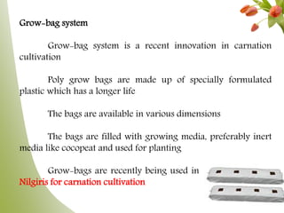 Grow-bag system
Grow-bag system is a recent innovation in carnation
cultivation
Poly grow bags are made up of specially formulated
plastic which has a longer life
The bags are available in various dimensions
The bags are filled with growing media, preferably inert
media like cocopeat and used for planting
Grow-bags are recently being used in some parts of the
Nilgiris for carnation cultivation
 