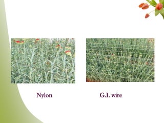 Nylon G.I. wire
 