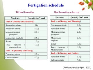 Nutrients Quantity / m2/ week
Tank-A (Monday and Thursday)
Ammonium nitrate 3.0g
Potassium nitrate 5.0 g
Monoammonium
phosphate
2.0 g
Magnesium sulphate 2.5 g
Boron 1.0 g
Trace elements /
micronutrients
1.0 g
Tank – B (Tuesday and Friday)
Potassium nitrate 5.0 g
Calcium nitrate 8.0 g
Nutrients Quantity / m2/ week
Tank – A (Monday and Thursday)
Ammonium nitrate 2.0 g
Potassium nitrate 7.5 g
Monoammonium
phosphate
2.0 g
Magnesium
sulphate
2.5 g
Boron 1.0 g
Trace elements /
Micronutrients
1.0 g
Tank – B (Tuesday and Friday)
Potassium nitrate 5.0 g
Calcium nitrate 9.0 g
Till bud formation Bud formation to harvest
Fertigation schedule
(Floriculture today April , 2007)
 