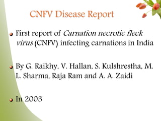 CNFV Disease Report
First report of Carnation necrotic fleck
virus (CNFV) infecting carnations in India
By G. Raikhy, V. Hallan, S. Kulshrestha, M.
L. Sharma, Raja Ram and A. A. Zaidi
In 2003
 
