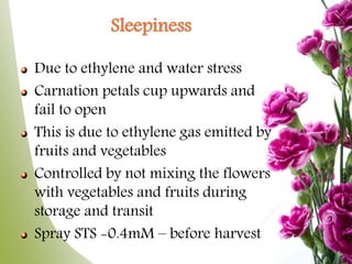 Sleepiness
Due to ethylene and water stress
Carnation petals cup upwards and
fail to open
This is due to ethylene gas emitted by
fruits and vegetables
Controlled by not mixing the flowers
with vegetables and fruits during
storage and transit
Spray STS -0.4mM – before harvest
 