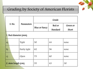 Grading by Society of American Florists
S. No. Parameters
Grade
Blue or Fancy
Red or
Standard
Green or
Short
1. Bud diameter (mm)
a) Tight 50 44 none
b) Fairly tight 62 56 none
c) Open 75 60 none
2. stem length (cm) 55 43 30
 