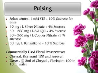 Pulsing
Solan centre- 1mM STS + 10% Sucrose for
8hrs
30 mg / L Silver Nitrate + 4% Sucrose
30 – 300 mg / L 8-HQC + 4% Sucrose
30 – 300 mg / L Copper Nitrate +3 %
sucrose
50 mg/ L Benzalkone + 10 % Sucrose
Commercially Used Floral Preservatives
Chrysal, Florissant 100 and Forever.
Doses : @ 2ml of Chrysal / Florissant 100 in
10 lit water
 