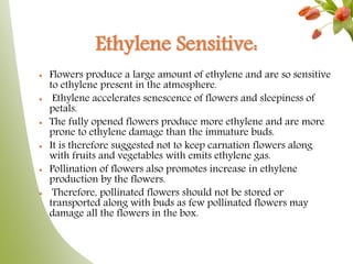 Ethylene Sensitive:
 Flowers produce a large amount of ethylene and are so sensitive
to ethylene present in the atmosphere.
 Ethylene accelerates senescence of flowers and sleepiness of
petals.
 The fully opened flowers produce more ethylene and are more
prone to ethylene damage than the immature buds.
 It is therefore suggested not to keep carnation flowers along
with fruits and vegetables with emits ethylene gas.
 Pollination of flowers also promotes increase in ethylene
production by the flowers.
 Therefore, pollinated flowers should not be stored or
transported along with buds as few pollinated flowers may
damage all the flowers in the box.
 