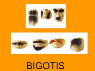 BIGOTIS 