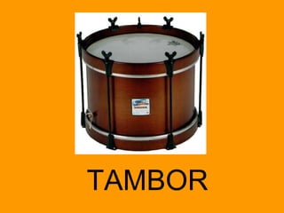 TAMBOR 