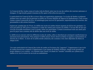 Le Carnaval de Rio, le plus connu et le plus riche du Brésil, attire tous les ans des milliers des touristes nationaux et étrangers. Il s'agit du plus grand événement de Rio après le Réveillon du nouvel an. La particularité du Carnaval de Rio se trouve dans son organisation gigantesque. Les écoles de Samba se préparent pendant toute une année afin de participer au défilé sur l'avenue Marquês de Sapucai (le Sambodromo). Cette avenue, connue comme la passerelle du rêve, est amménagée pour recevoir les spectateurs, majoritairement des touristes, des personnalités et des artistes brésiliens. Auparavant, pendant plus de 30 ans, les défilés des écoles de sambas étaient organisés de façon très spontanée. Ce n'est qu'à partir de 1963 qu'on a commencé à vendre des entrées pour assister aux défilés. C'est une fête de luxe qui n'est pas accessible facilement à tout le monde, même aux participants. Certains économisent toute une année pour pouvoir payer leurs costumes afin de défiler dans une école de samba.  Le défilé est un concours entre les différentes écoles de samba, celles-ci cherchent par conséquent à perfectionner au maximum leurs présentations. Pour préparer le défilé annuel, l'école choisit un thème et organise sa présentation en fonction de ce thème : le choix de la samba-enredo (chanson), des costumes et des chars dépendent du thème de chaque école. Une autre particularité du Carnaval des écoles de samba est l'existence des "suporters". L'appartenance à une école de samba pourrait être comparée à l'appartenance à une équipe de football. D'ailleurs, chaque école possède son propre drapeau et ses couleurs : on s'entraîne toute l'année, on chante les "enredos" ensemble aux rythmes de la samba et on vise la victoire de son école au sambodromo 