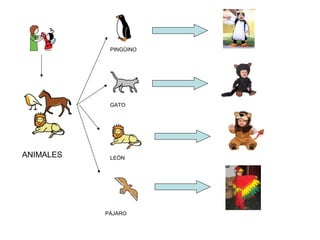 PINGÜINO
GATO
ANIMALES
LEÓN
PÁJARO
