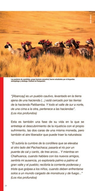 24
“[Abancay] es un pueblo cautivo, levantado en la tierra
ajena de una hacienda (…) está cercado por las tierras
de la hacienda Patibamba. Y todo el valle de sur a norte,
de una cima a la otra, pertenece a las haciendas”.
(Los ríos profundos)
Esta es también una fase de su vida en la que se
entreteje el descubrimiento de la injusticia con el propio
sufrimiento, las dos caras de una misma moneda, pero
también el aire liberador que puede traer la naturaleza:
“Él subiría la cumbre de la cordillera que se elevaba
al otro lado del Pachachaca; pasaría el río por un
puente de cal y canto, de tres arcos... Y mientras en
Chalhuanca, cuando hablara con los nuevos amigos,
sentiría mi ausencia, yo exploraría palmo a palmo el
gran valle y el pueblo; recibiría la corriente poderosa y
triste que golpea a los niños, cuando deben enfrentarse
solos a un mundo cargado de monstruos y de fuego...”
(Los ríos profundos)
Los pastores de camélidos, grupo humano ancestral, fueron estudiados por el Arguedas
antropólogo y etnólogo. Pastisal en Pampachiri.
WalterSilvera
 