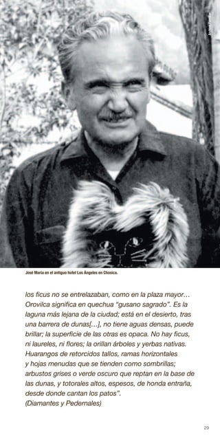 29
los ficus no se entrelazaban, como en la plaza mayor…
Orovilca significa en quechua “gusano sagrado”. Es la
laguna más lejana de la ciudad; está en el desierto, tras
una barrera de dunas[…], no tiene aguas densas, puede
brillar; la superficie de las otras es opaca. No hay ficus,
ni laureles, ni flores; la orillan árboles y yerbas nativas.
Huarangos de retorcidos tallos, ramas horizontales
y hojas menudas que se tienden como sombrillas;
arbustos grises o verde oscuro que reptan en la base de
las dunas, y totorales altos, espesos, de honda entraña,
desde donde cantan los patos”.
(Diamantes y Pedernales)
José María en el antiguo hotel Los Ángeles en Chosica.
OlgaLuna/ArchivoFamiliar
 