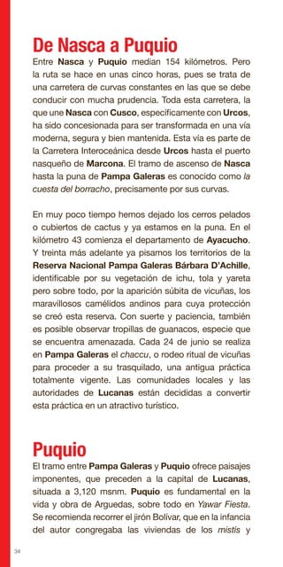 34
De Nasca a Puquio
Entre Nasca y Puquio median 154 kilómetros. Pero
la ruta se hace en unas cinco horas, pues se trata de
una carretera de curvas constantes en las que se debe
conducir con mucha prudencia. Toda esta carretera, la
que une Nasca con Cusco, específicamente con Urcos,
ha sido concesionada para ser transformada en una vía
moderna, segura y bien mantenida. Esta vía es parte de
la Carretera Interoceánica desde Urcos hasta el puerto
nasqueño de Marcona. El tramo de ascenso de Nasca
hasta la puna de Pampa Galeras es conocido como la
cuesta del borracho, precisamente por sus curvas.
En muy poco tiempo hemos dejado los cerros pelados
o cubiertos de cactus y ya estamos en la puna. En el
kilómetro 43 comienza el departamento de Ayacucho.
Y treinta más adelante ya pisamos los territorios de la
Reserva Nacional Pampa Galeras Bárbara D’Achille,
identificable por su vegetación de ichu, tola y yareta
pero sobre todo, por la aparición súbita de vicuñas, los
maravillosos camélidos andinos para cuya protección
se creó esta reserva. Con suerte y paciencia, también
es posible observar tropillas de guanacos, especie que
se encuentra amenazada. Cada 24 de junio se realiza
en Pampa Galeras el chaccu, o rodeo ritual de vicuñas
para proceder a su trasquilado, una antigua práctica
totalmente vigente. Las comunidades locales y las
autoridades de Lucanas están decididas a convertir
esta práctica en un atractivo turístico.
Puquio
El tramo entre Pampa Galeras y Puquio ofrece paisajes
imponentes, que preceden a la capital de Lucanas,
situada a 3,120 msnm. Puquio es fundamental en la
vida y obra de Arguedas, sobre todo en Yawar Fiesta.
Se recomienda recorrer el jirón Bolívar, que en la infancia
del autor congregaba las viviendas de los mistis y
 