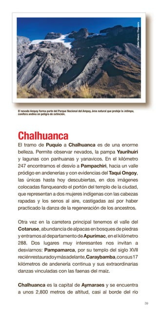 39
Chalhuanca
El tramo de Puquio a Chalhuanca es de una enorme
belleza. Permite observar nevados, la pampa Yaurihuiri
y lagunas con parihuanas y yanavicos. En el kilómetro
247 encontramos el desvío a Pampachiri, hacia un valle
pródigo en andenerías y con evidencias del Taqui Ongoy,
las únicas hasta hoy descubiertas, en dos imágenes
colocadas flanqueando el portón del templo de la ciudad,
que representan a dos mujeres indígenas con las cabezas
rapadas y los senos al aire, castigadas así por haber
practicado la danza de la regeneración de los ancestros.
Otra vez en la carretera principal tenemos el valle del
Cotaruse,abundanciadealpacasenbosquesdepiedras
yentramosaldepartamentodeApurímac,enelkilómetro
288. Dos lugares muy interesantes nos invitan a
desviarnos: Pampamarca, por su templo del siglo XVII
reciénrestauradoymásadelante,Caraybamba,consus17
kilómetros de andenería continua y sus extraordinarias
danzas vinculadas con las faenas del maíz.
Chalhuanca es la capital de Aymaraes y se encuentra
a unos 2,800 metros de altitud, casi al borde del río
El nevado Ampay forma parte del Parque Nacional del Ampay, área natural que proteje la intimpa,
conífera andina en peligro de extinción.
WalterSilvera/Promperu
 