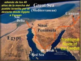 además de los 40
años de la marcha del
pueblo israelita por el
desierto desde Egipto
a Canaan
 