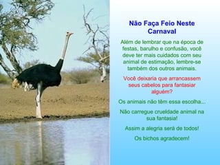 Não Faça Feio Neste Carnaval Além de lembrar que na época de festas, barulho e confusão, você deve ter mais cuidados com seu animal de estimação, lembre-se também dos outros animais. Você deixaria que arrancassem seus cabelos para fantasiar alguém? Os animais não têm essa escolha... Não carregue crueldade animal na sua fantasia! Assim a alegria será de todos! Os bichos agradecem! 