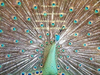 Faça sua parte. Divulgue este documento. Mande para seus amigos. A NATUREZA AGRADECE !!! 