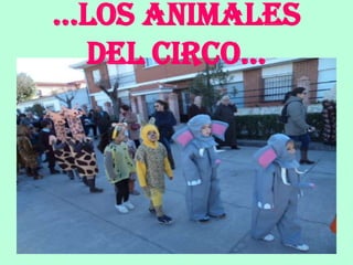 …los animales
 del circo…
 