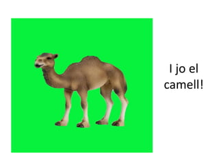 I jo el
camell!

 