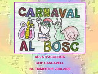 AULA D’ACOLLIDA CEIP CASCAVELL 2n. TRIMESTRE 2008-2009 